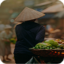 Hanoi thumbnail