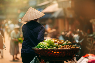 Hanoi mobil
